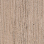 LariceSabbia_spazzVert